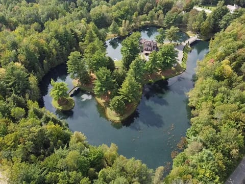 Bird's eye view, Lake view