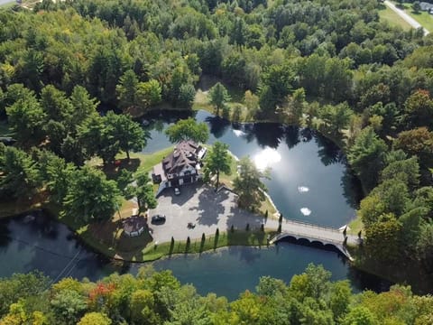 Bird's eye view, Lake view