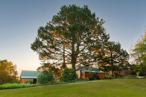 Property building, Natural landscape, Garden