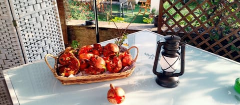 Villa oleandro House in Novara