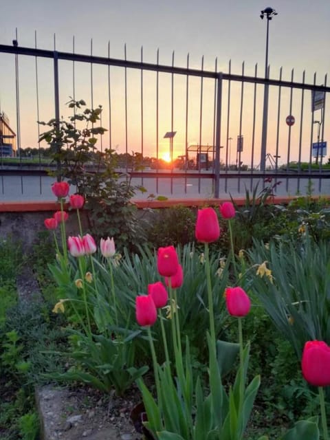 Villa oleandro House in Novara