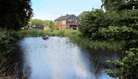 Property building, Nearby landmark, Day, Lake view