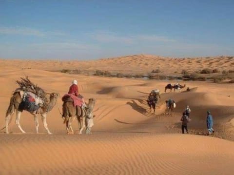 Douz Trek Luxury tent in Tunisia