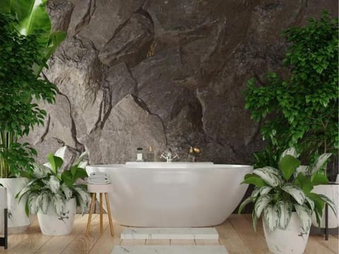 Natural landscape, Bathroom