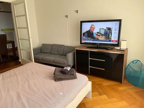 Grand Appartement de 3 chambres Apartment in Lausanne