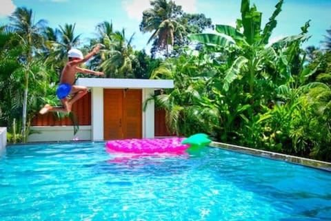 Day, Garden, Pool view, Swimming pool