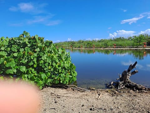 Natural landscape, Beach, Lake view, Landmark view, River view