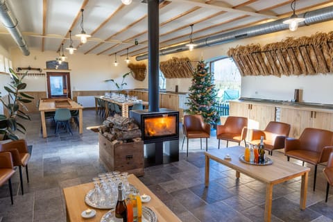 Seating area, Dining area, group of guests, fireplace, heating