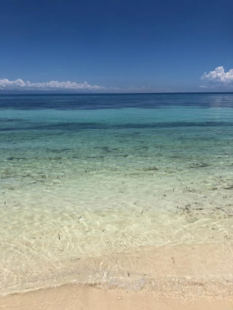 Casaroyal Beachfront Bed and Breakfast in Siquijor