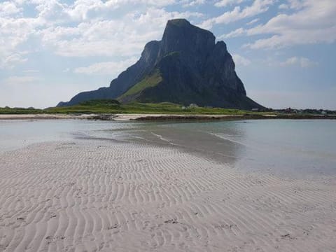 Enebolig House in Lofoten