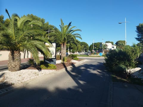 Spring, Day, Neighbourhood, Street view