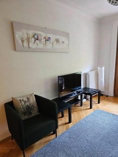 Geneva Gem Spacious Apt for 4 Inc Free bus pass Apartment in Geneva