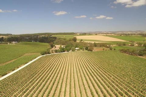 Day, Natural landscape, View (from property/room)