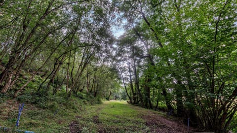 The Stables Apartment - Northwood Farm House in Staffordshire Moorlands District