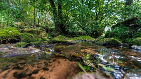 The Stables Apartment - Northwood Farm House in Staffordshire Moorlands District