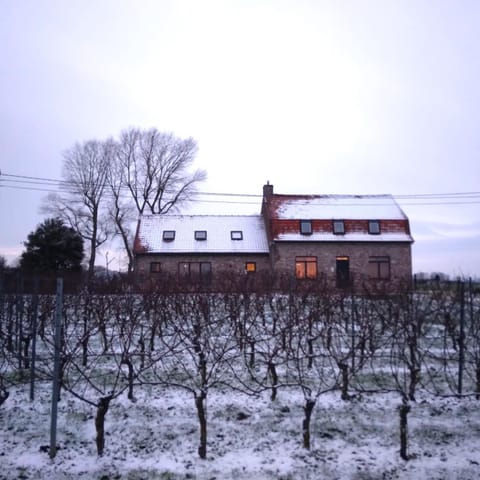 Property building, Winter, Garden