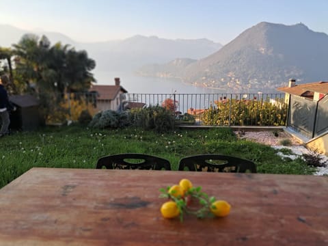 Natural landscape, Dining area, Lake view