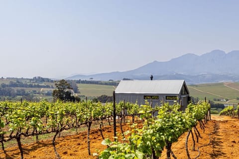 View (from property/room), Other, Mountain view