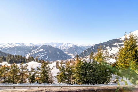 La Ruinette-lovely Ski Inski Out Verbier Chalet Chalet in Riddes