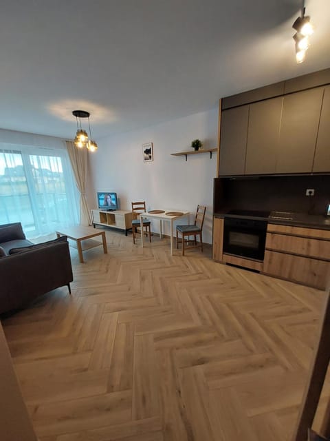 Apartament nad Widawą Wrocław Apartment in Wroclaw