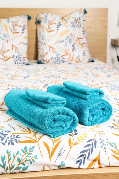 LE VAN'S Studio rénové tout confort WIFI Apartment in Clermont-Ferrand