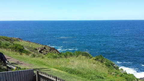Sea Whispers Bed and Breakfast in Kiama