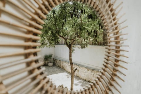 Balcony/Terrace, Balcony/Terrace