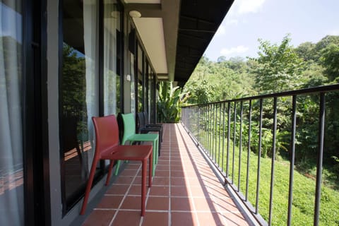 Garden, Balcony/Terrace, Decorative detail, Seating area