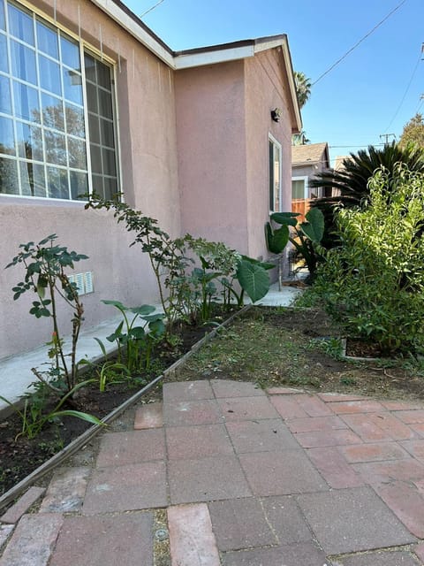 Property building, Garden, Garden view