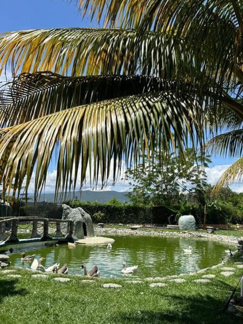 Espectacular Finca Villa Rosa -15 minutos de Tulua House in Tuluá