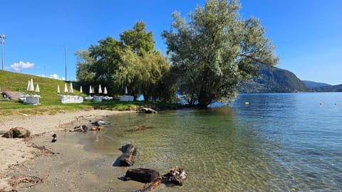 Beach, Lake view