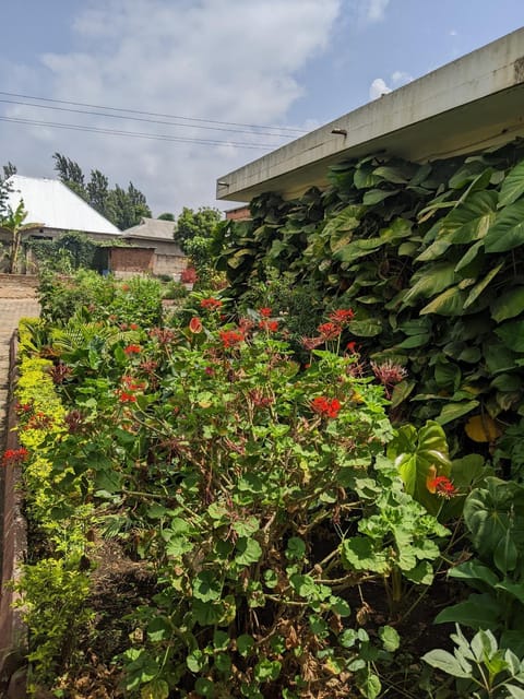 Sombetini Homestay Kwa Mgani Vacation rental in Arusha