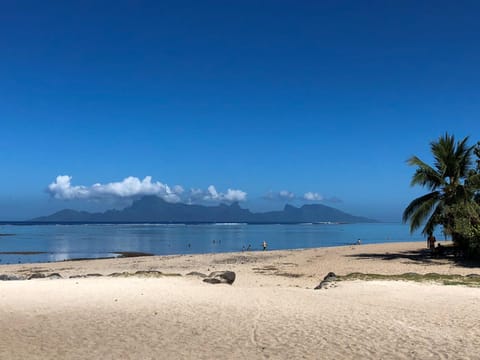 Nearby landmark, Beach