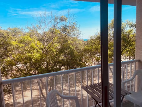 Natural landscape, View (from property/room), Balcony/Terrace