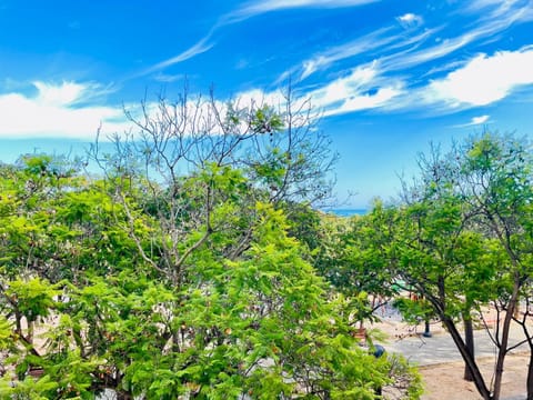 Natural landscape, Sea view