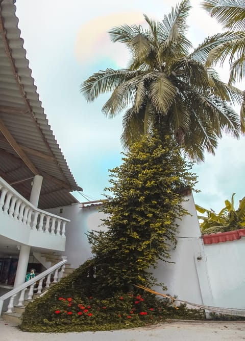 Patio, Garden, Balcony/Terrace