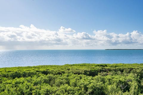 Bird's eye view, Sea view