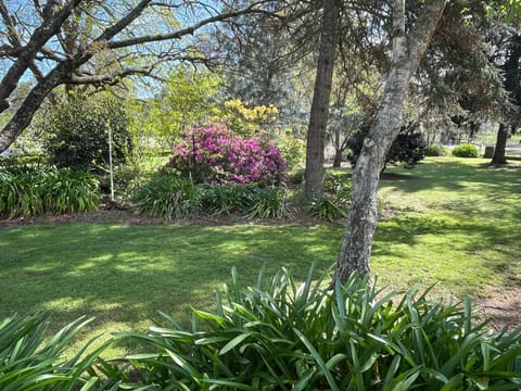 Garden, Garden view