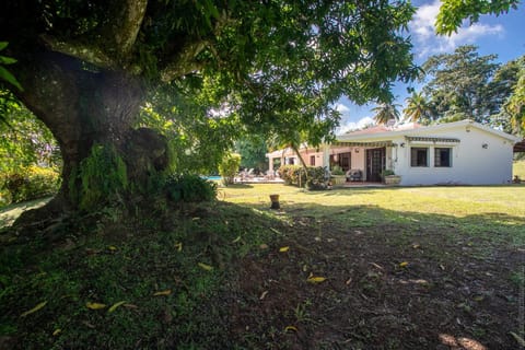 Natural landscape, Garden, Garden view