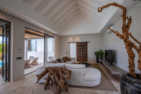 Stylish 5 bedroom Villa with Earthy Tones Villa in Jan Thiel