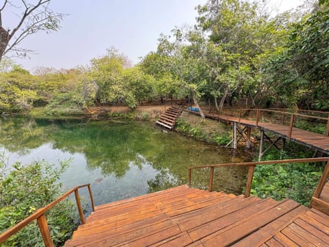 Natural landscape, River view