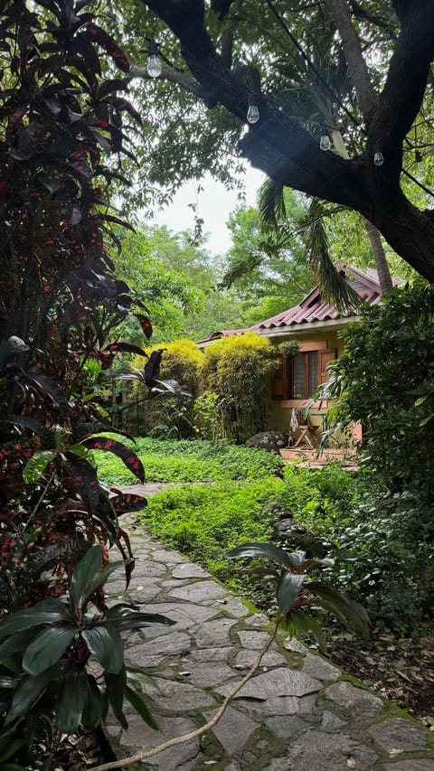 Property building, Natural landscape, Garden view