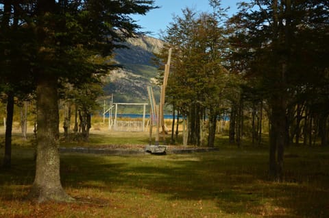 Natural landscape, Garden, Lake view