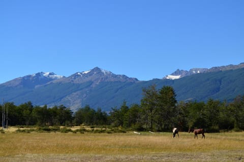 Natural landscape, Garden, Mountain view