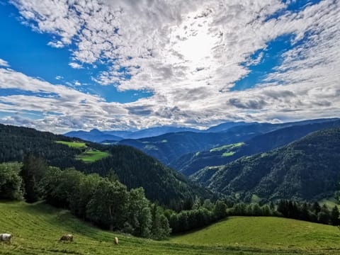 Farmstay&Glamping Visočnik Farm Stay in Carinthia, Austria