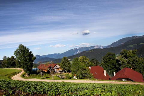 Property building, Mountain view