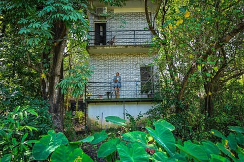 Property building, Natural landscape, Garden, View (from property/room), Balcony/Terrace, Garden view