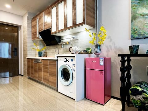 Kitchen or kitchenette, stove, washing machine