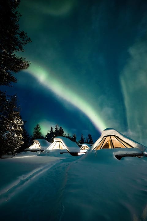 Wilderness Hotel Muotka & Igloos Hotel in Lapland