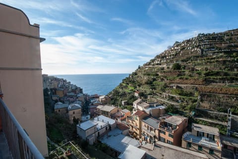 Luxury Seaview Apartments Manarola by Arbaspàa Apartment in Manarola